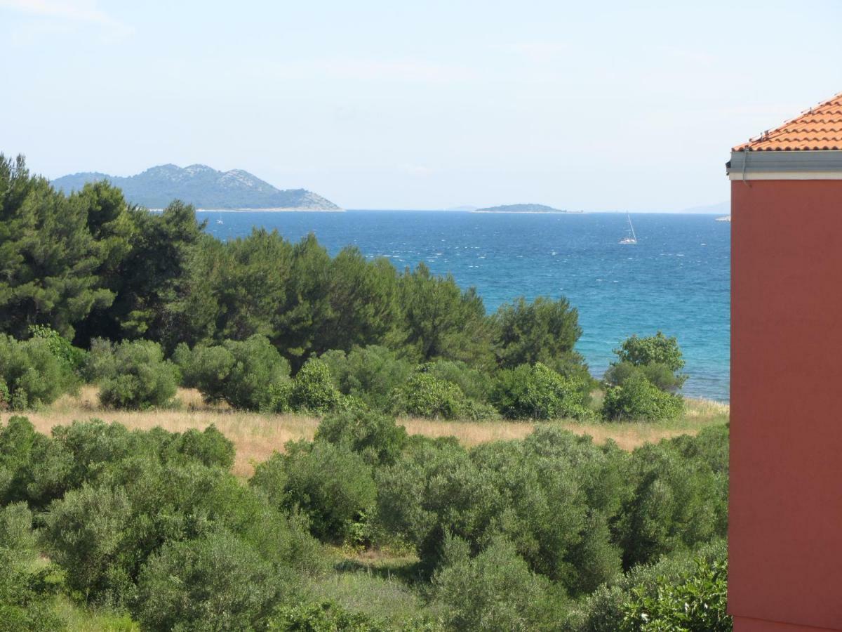 Apartment Plavia Biograd Biograd Na Moru Zewnętrze zdjęcie